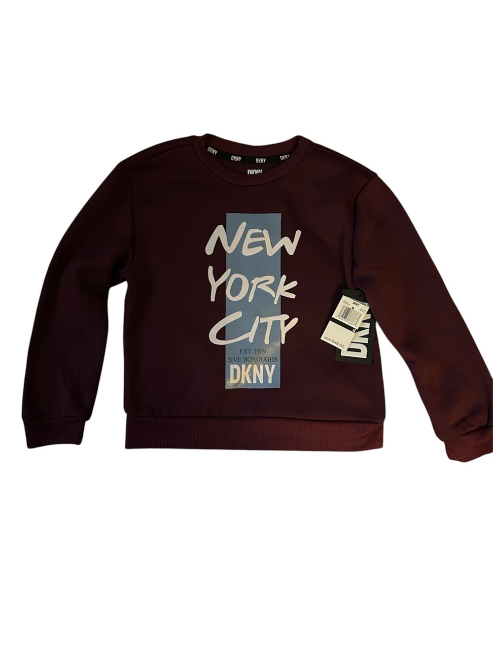 DKNY Boys Crewneck Sweatshirt in Burgundy with New York City Graphic Panel